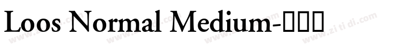 Loos Normal Medium字体转换